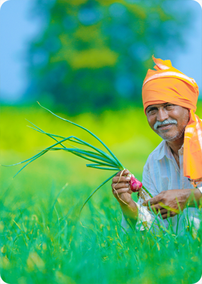 आजपर्यंत केवळ खतं वापरात होतो. आता मी राघवेंद्र फर्टिलायजर्स ची दर्जेदार खते वापरतो. 